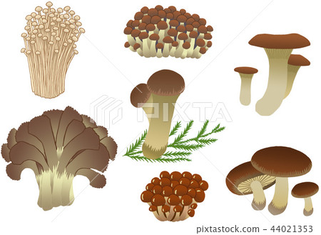 mushroom mushroom 44021353