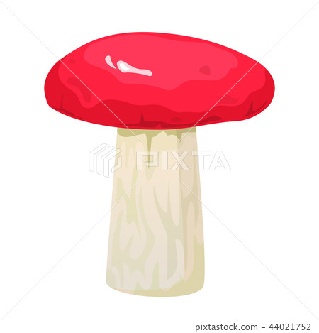Russula edible mushroom, vector illustration 44021752