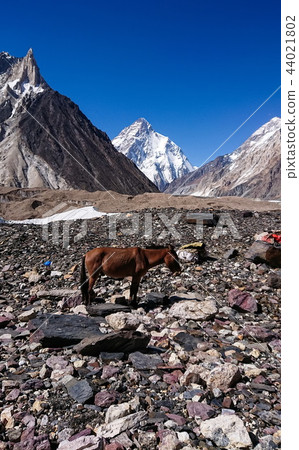 K2 the second highest mountain in the world. Karak 44021802