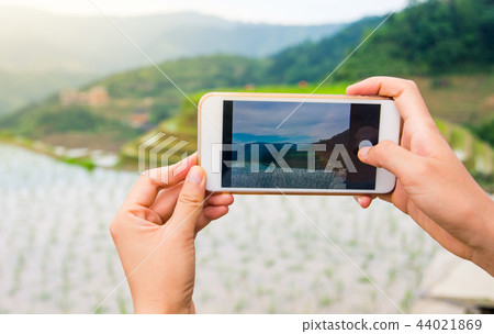 Girl capturing rice terrace scenery with a phone Girl capturing rice terrace scenery with a phone 44021869