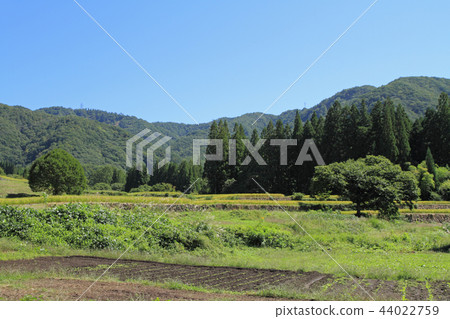 Hakuba Mura Aoki的Tanada的秋天 44022759