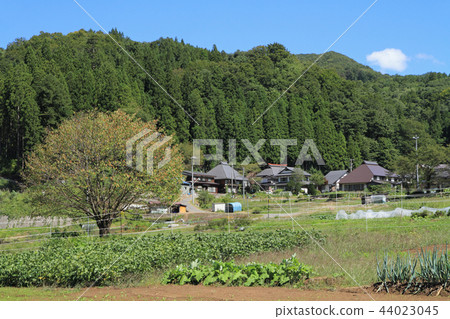 Hakuba Muranohira first autumn mountain village Hakuba Muranohira first autumn mountain village 44023045
