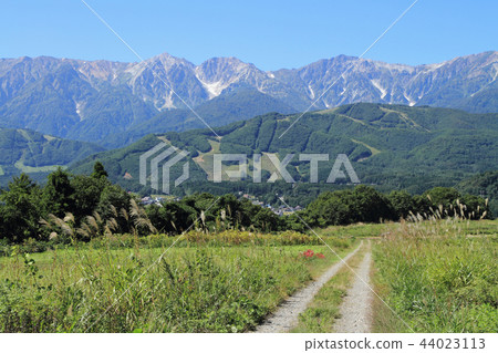Hakuba mountain range from Hakuba Muranohira 44023113