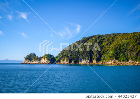 Creek in Abel Tasman National Park, New Zealand 44023427