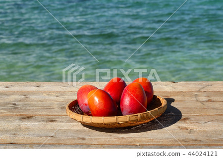 成熟芒果圖像背景海 44024121