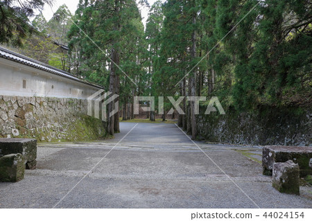 Hifei Castle and Hifei Sugi Hifei Castle and Hifei Sugi 44024154