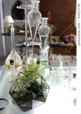 geometric glass terrarium of fern 44025798