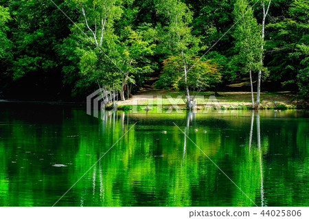 鳥羽公園（富良野） 44025806