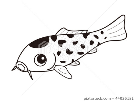 黑白龜殼 44026181