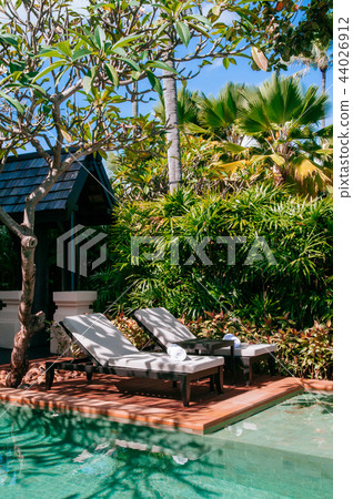 Tropical Resort pool with beach bed under tree 44026912