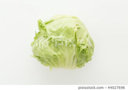 White background 44027696