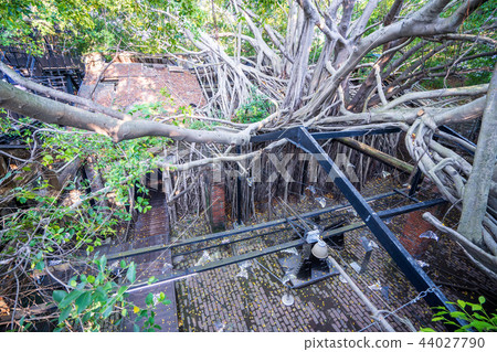亞洲 台灣 台南 安平樹屋 景點 Anping Tree House 亞洲 台灣 台南 安平樹屋 景點 Anping Tree House 44027790