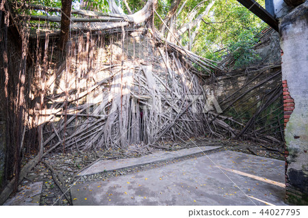 亞洲 台灣 台南 安平樹屋 景點 Anping Tree House 亞洲 台灣 台南 安平樹屋 景點 Anping Tree House 44027795