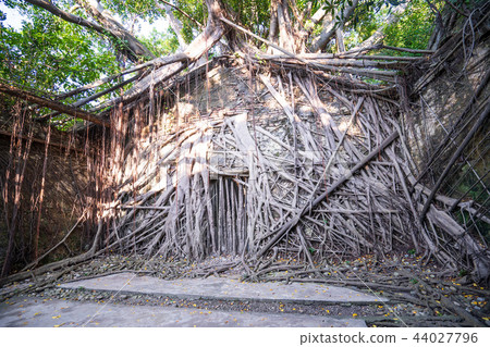 亞洲 台灣 台南 安平樹屋 景點 Anping Tree House 44027796
