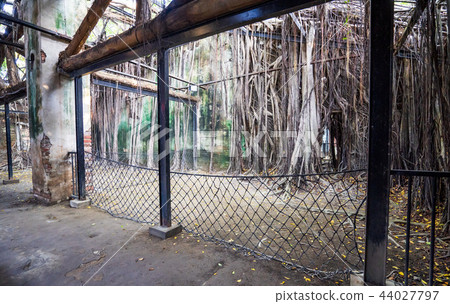 亞洲 台灣 台南 安平樹屋 景點 Anping Tree House 44027797