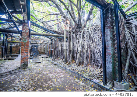 亞洲 台灣 台南 安平樹屋 景點 Anping Tree House 44027813