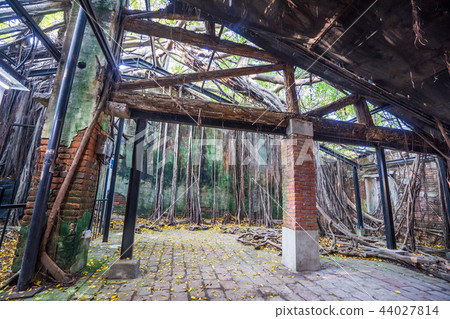 Asia Taiwan Tainan Anping Tree House Attractions Anping Tree House Asia Taiwan Tainan Anping Tree House Attractions Anping Tree House 44027814