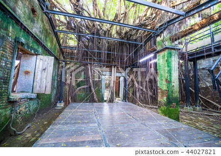 亞洲 台灣 台南 安平樹屋 景點 Anping Tree House 亞洲 台灣 台南 安平樹屋 景點 Anping Tree House 44027821