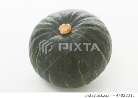 Pumpkin White Back 44028313