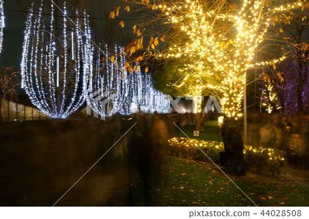 Christmas illumination Tokyo Christmas illumination Tokyo 44028508