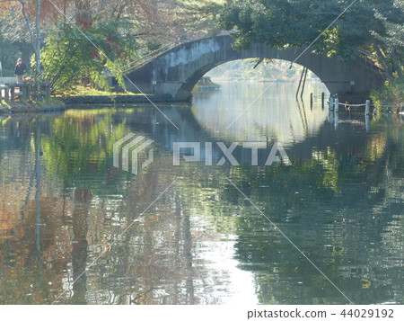 Shakujii公園 Shakujii公園 44029192