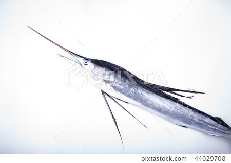 Basho鯖魚 44029708