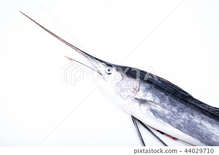 Basho mackerel 44029710