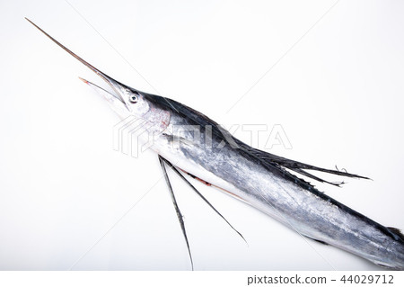 Basho鯖魚 44029712