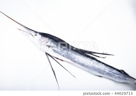 Basho鯖魚 44029713