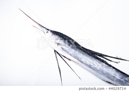 Basho mackerel 44029714