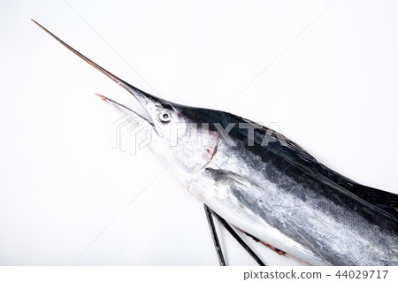 Basho鯖魚 44029717