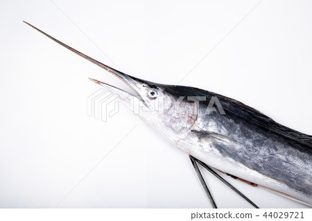 Basho鯖魚 44029721