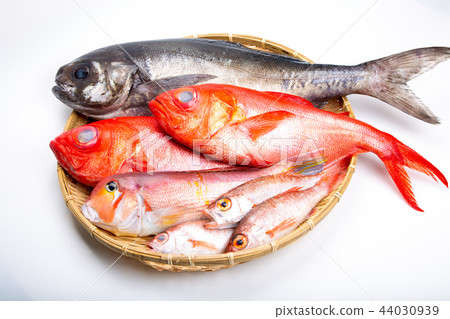 Fish Assortment 44030939