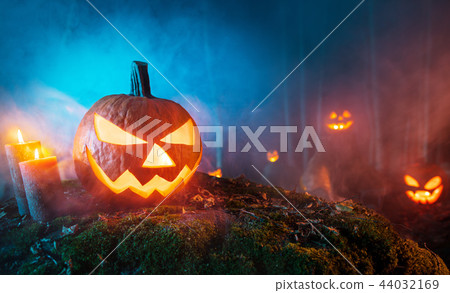 Spooky halloween pumpkins in forest Spooky halloween pumpkins in forest 44032169