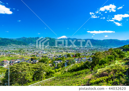 《Yamanashi Prefecture》 Overlooking Mount Fuji and the Kofu Basin 44032620