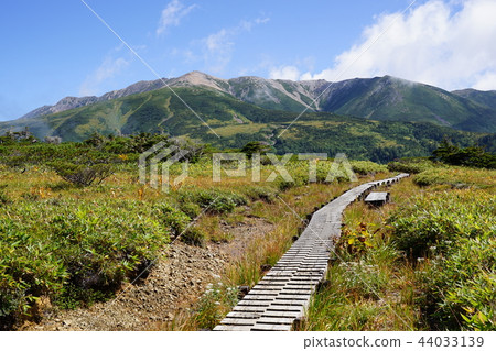 Yakushidake from Tarohira hut 44033139