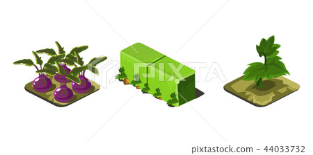 Garden plants and green fence, game user interface nature elements for video computer games vector Garden plants and green fence, game user interface nature elements for video computer games vector 44033732