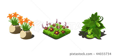 Garden plants, flowers and vegetables, game user interface nature elements for video computer games 44033734