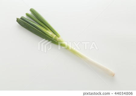 白洋蔥白色背景 44034806