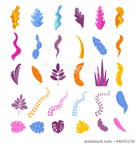 Collection of leavees of Exotic tropical plants Collection of leavees of Exotic tropical plants 44035238