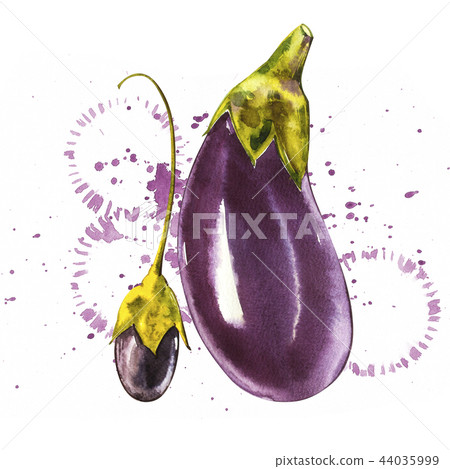 Eggplant. Hand drawn watercolor painting on white background. Watercolor illustration with a splash. Eggplant. Hand drawn watercolor painting on white background. Watercolor illustration with a splash. 44035999