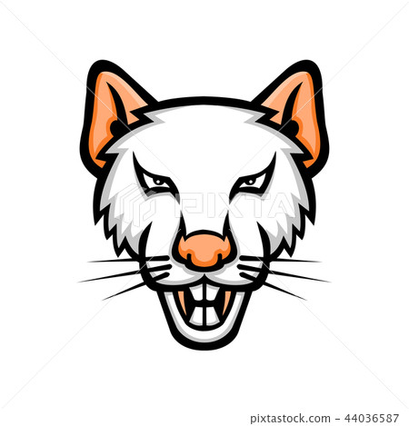 Albino Laboratory Mouse Mascot 44036587