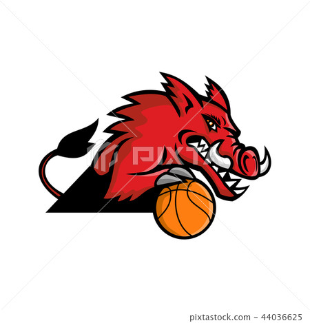 Wild Boar Basketball Mascot 44036625