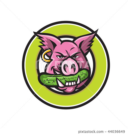 插圖素材: wild pig biting pickle circle mascot