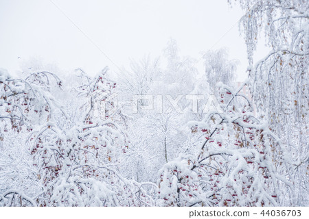 Winter park with white snow Winter park with white snow 44036703