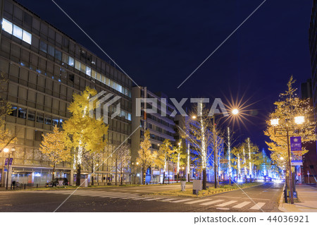 大阪，禦堂筋，聖誕節照明 44036921