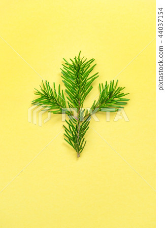 Christmas tree branch yellow background Minimal Christmas tree branch yellow background Minimal 44037154