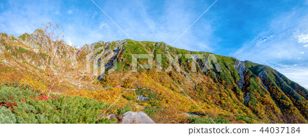 Senjojiki Karl (October autumn leaves) 44037184