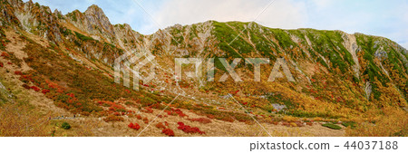 Senjojiki Karl (October autumn leaves) 44037188