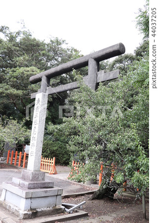 Torii of the Susaki Shrine Torii of the Susaki Shrine 44037205
